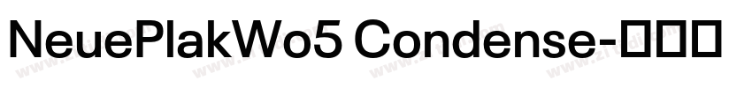 NeuePlakWo5 Condense字体转换